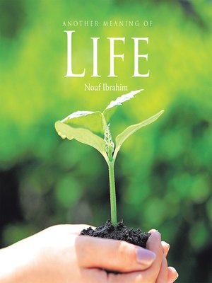 cover image of Another Meaning of Life